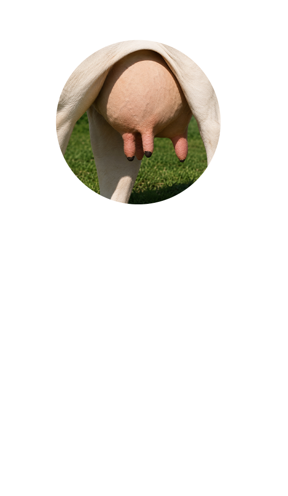 20 OCTUBRE - Título de la charla del 20 de octubre