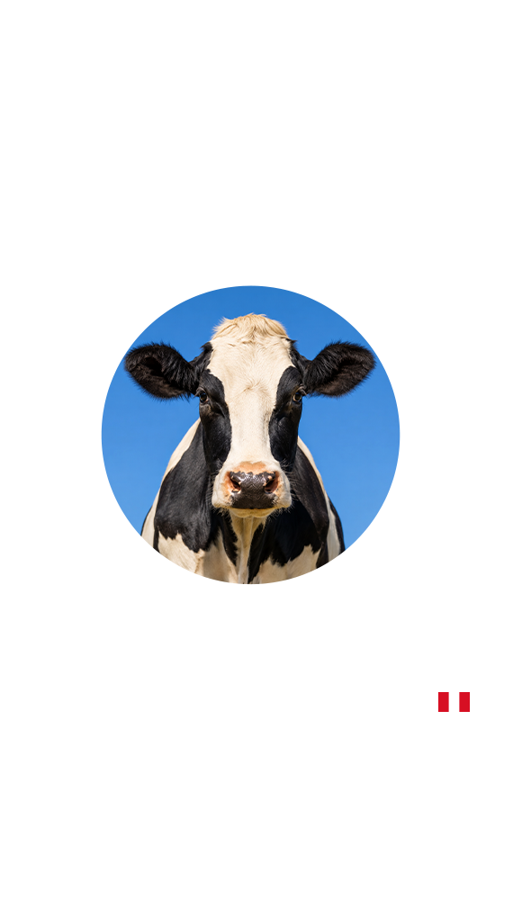 15 OCTUBRE - “Manejo Entérico: Estrategias integrales para la salud intestinal y la productividad”