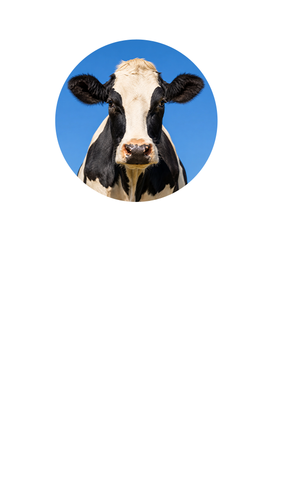 23 OCTUBRE - Título de la charla del 23 de octubre